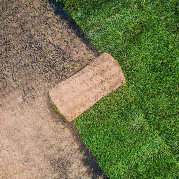 Hazır Çim Uygulaması