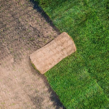 Hazır Çim Uygulaması