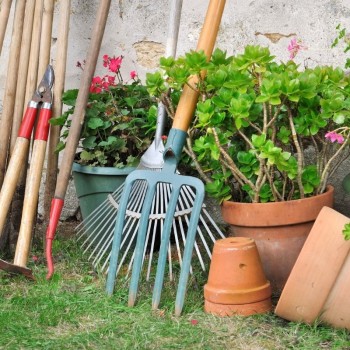 Bahçe Bakım Uygulaması