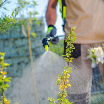 Bahçe İlaçlama Uygulama ve Yöntemleri