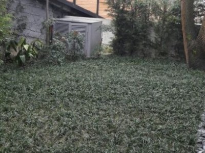 <b>Bebek  Ahmet Bey’in Villası </b><br>Osmanlı Çimi Uygulaması