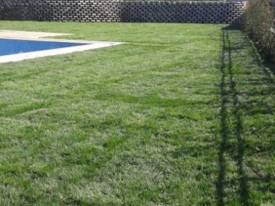 <b>Pelican Batı Mahal Evleri </b> <br>Çim Serimi