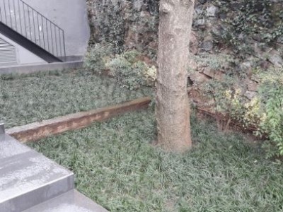 <b>Tarabya </b><br>Osmanlı Çimi Uygulaması