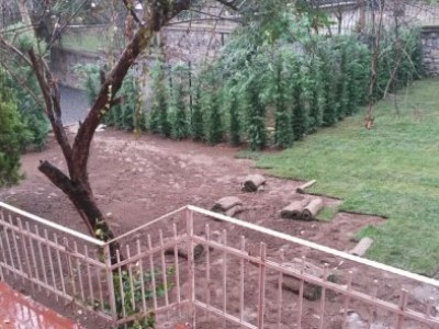 <b>Büyükdere Köşk Peyzajı</b><br> Çim Uygulaması