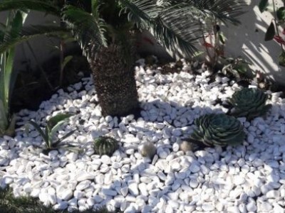 <b>Dekoratif Taş </b><br>Bitki Süsleme Uygulaması