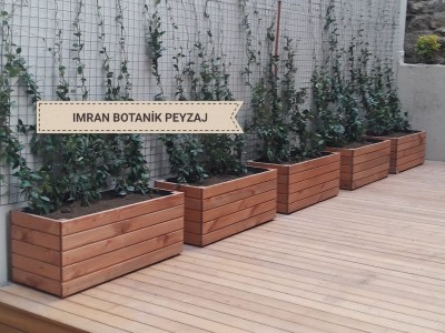 <b>Ahmet Bey </b><br>Tarabya