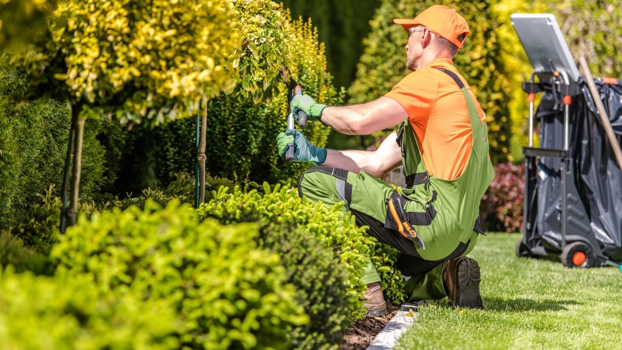 PEYZAJ PROJELENDİRME